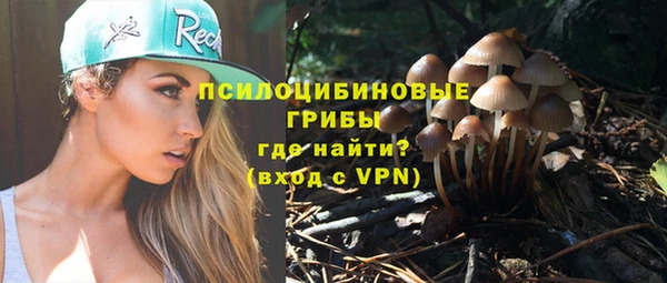 спайс Верея