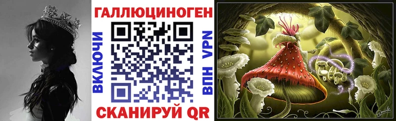 Псилоцибиновые грибы Magic Shrooms  цена наркотик  Светлогорск 